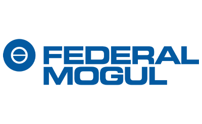 Federal Mogul
